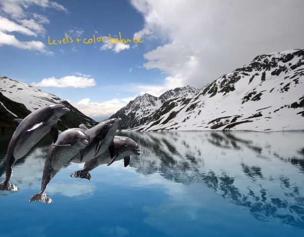 Creation of dolphin fjord: Step 2